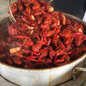 Slap Ya Mama Cajun Seafood Boil, Southern Hospitality Favorites