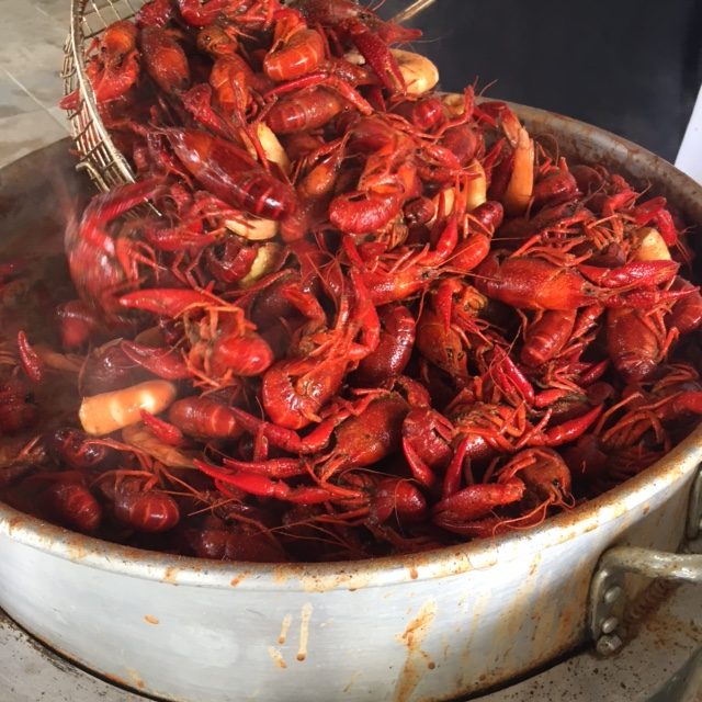 Book your Louisiana Crawfish and Gulf Coast Shrimp Boil for the Spring