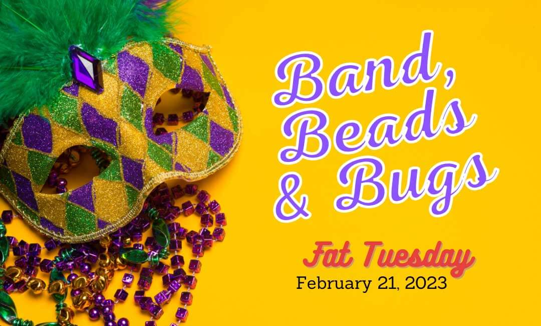 FAT TUESDAY 2023